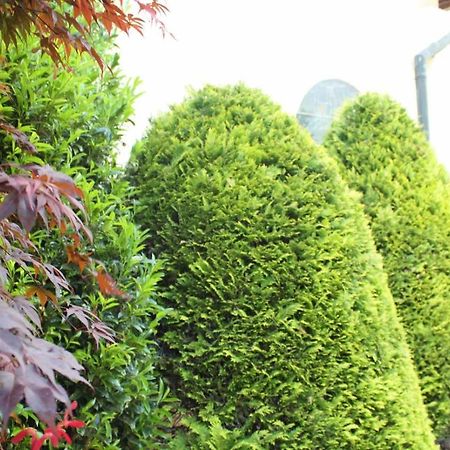 Wanderhotel Garni Cresta Schruns Exterior foto